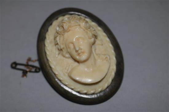 A horn mounted carved ivory cameo brooch, 2in.